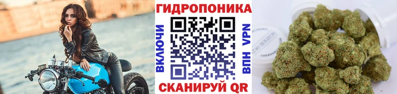 даркнет сайт  Ленинск  Бошки марихуана план 
